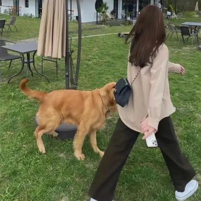 危险的她第二季